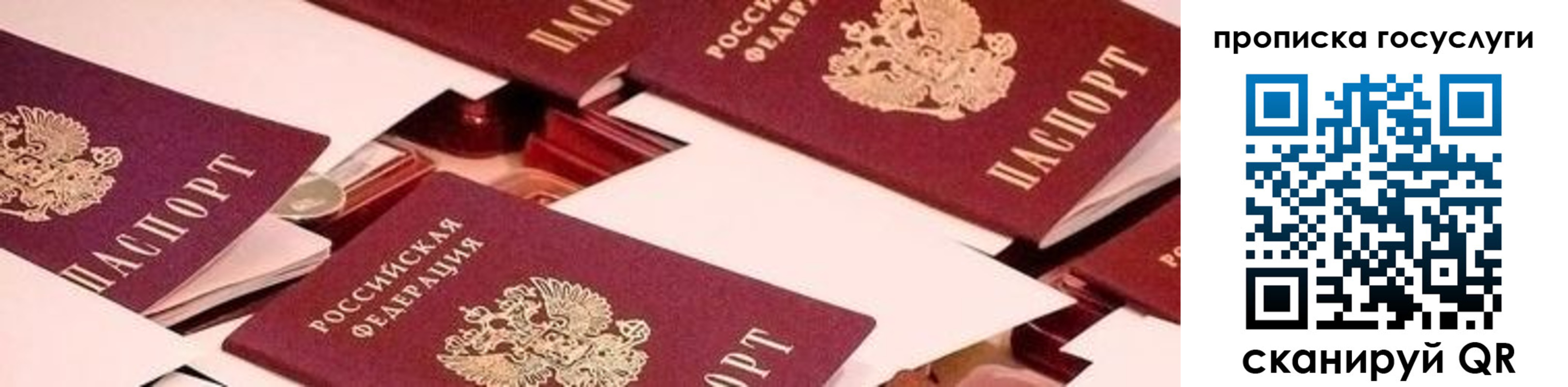 регистрация в Новороссийске